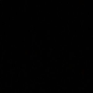 Meet your Posher, Eileen